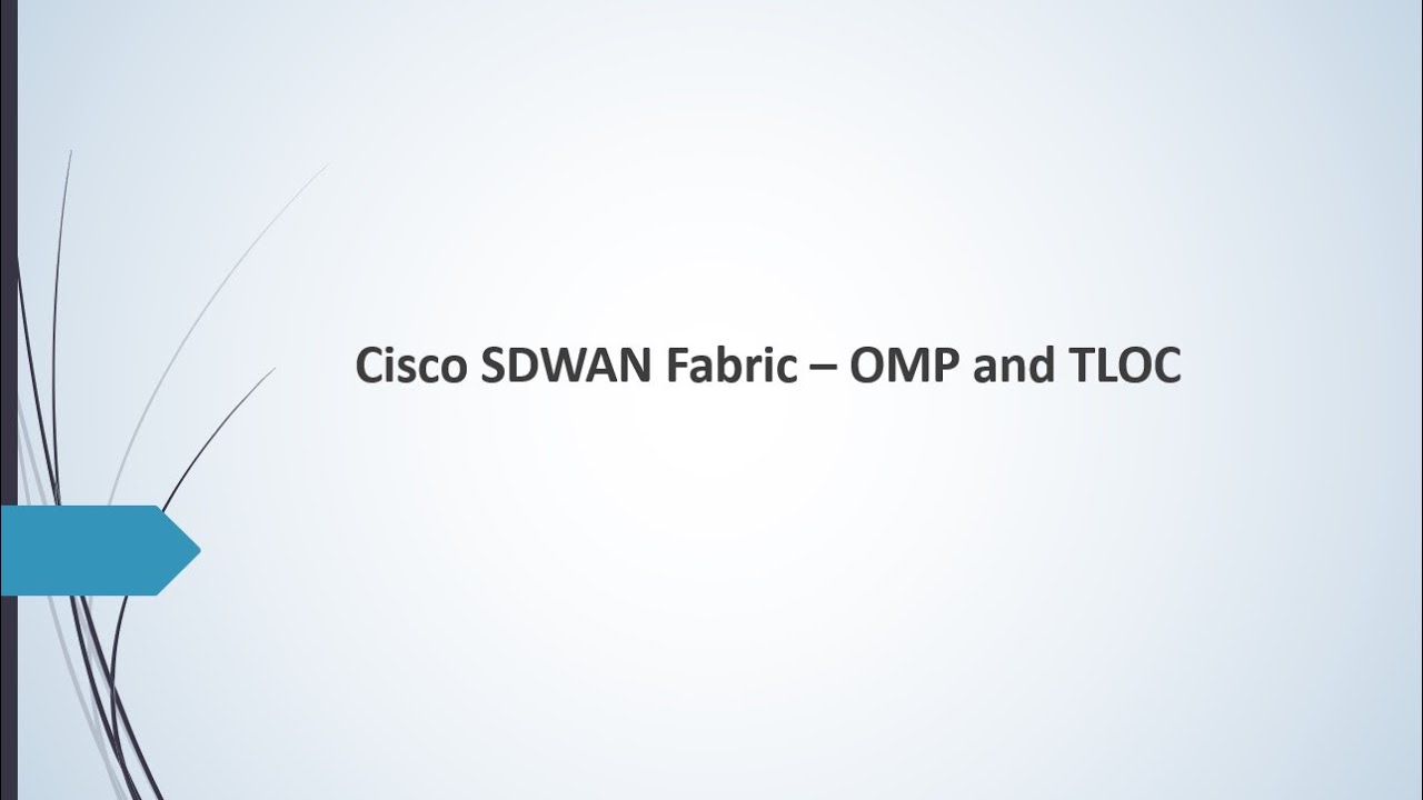 Обновление Cisco SDWAN OMP | Важность TLOC | Бесплатный полный курс по SDWAN, глава 5 #sdwan #Vip...