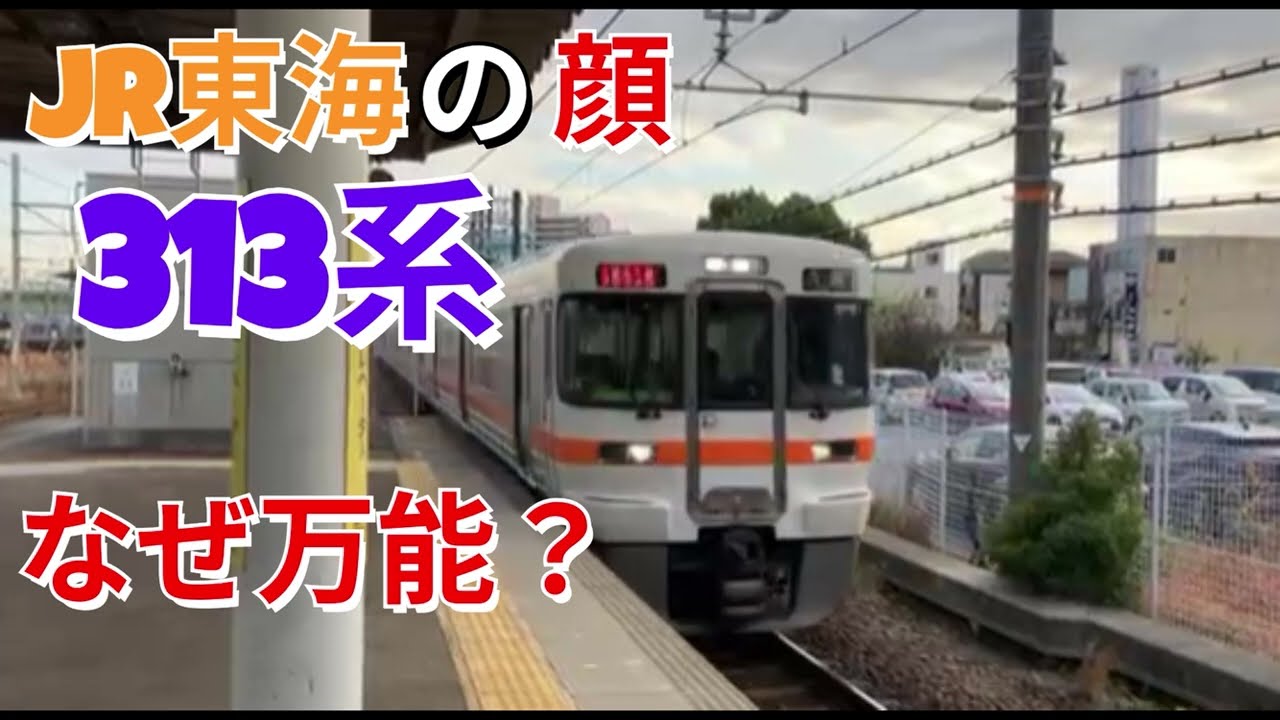 JR東海の顔！313系が万能すぎる衝撃の理由とは？