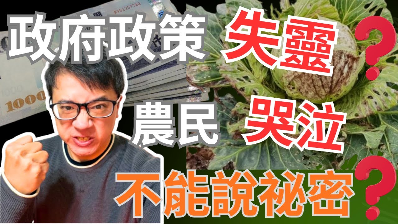 官方帶頭衝菜失敗？越南農民數錢數到手軟，台灣農民只能把菜當垃圾丟？| 誰的問題? 你的菜錢其實都是房租？