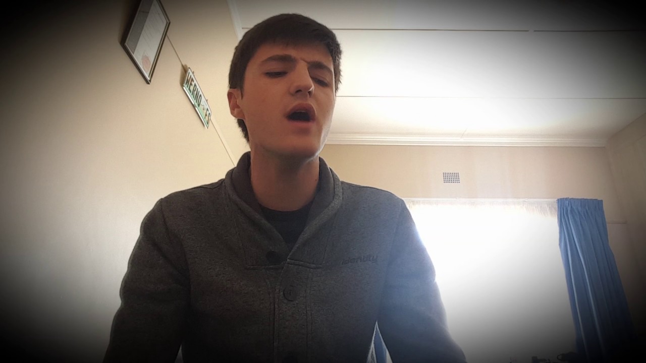 Perfect(Pink) - Cover by Werno