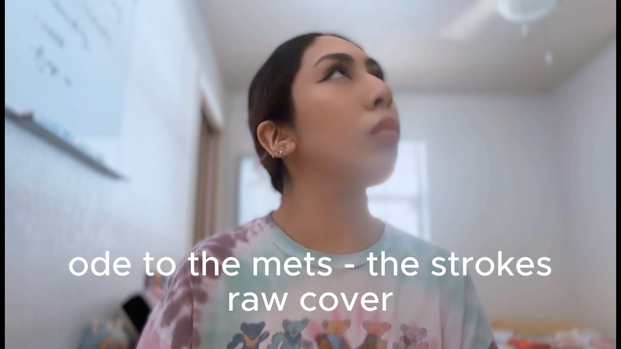 Ode To The Mets — The Strokes Cover (first take)