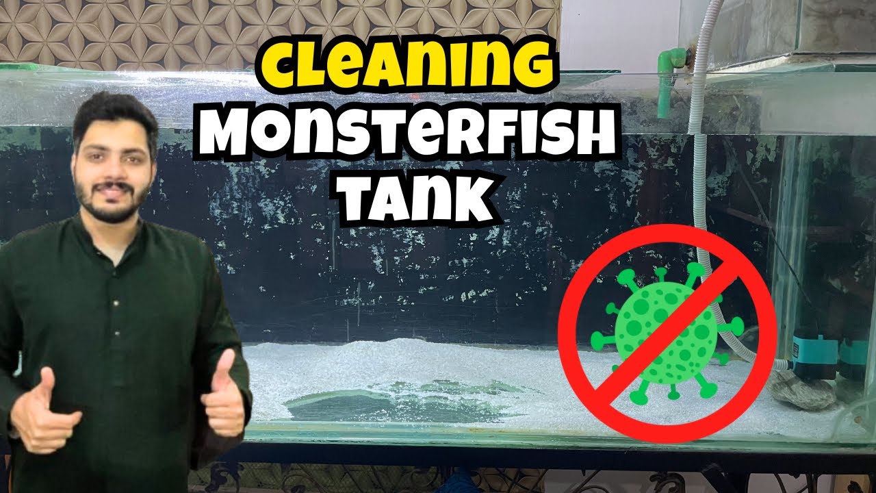 Cleaning 🦠 My Monster Fish Tank 🐠🐟| Tank Recovery