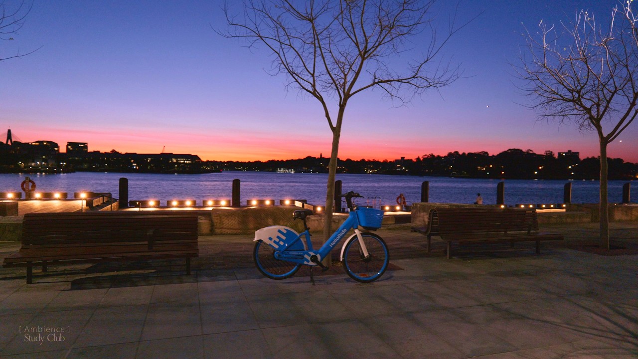 [4K] sunset walk in Sydney to the new Barangaroo precinct