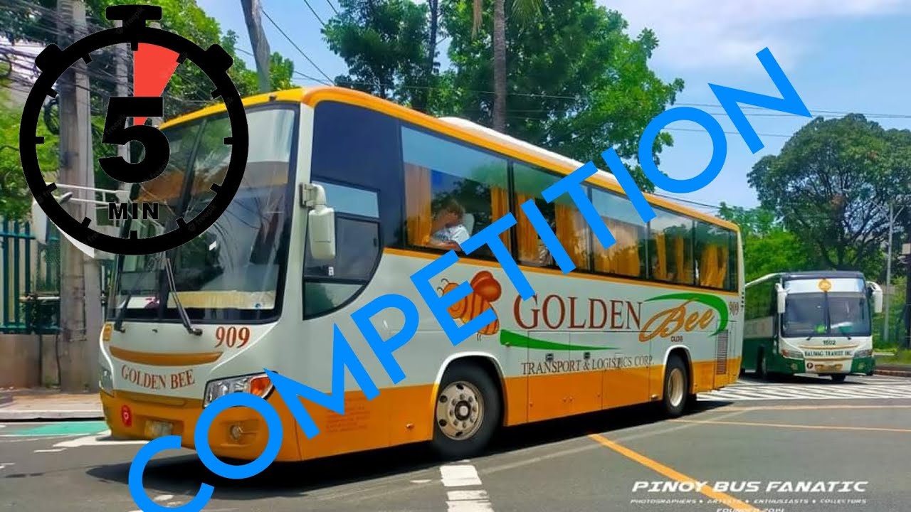 Golden Bee CapCut template competition