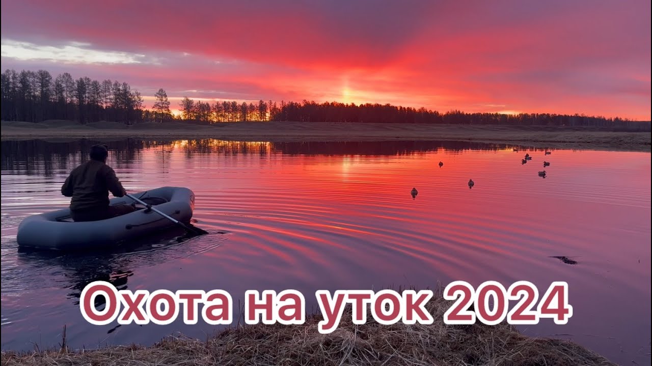 Весенняя охота на уток 2024