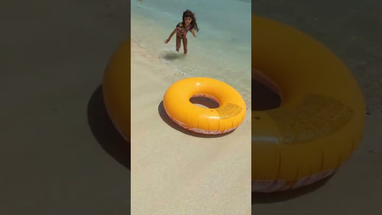 ARUBA day 3- My Spare Cats/Life is live!