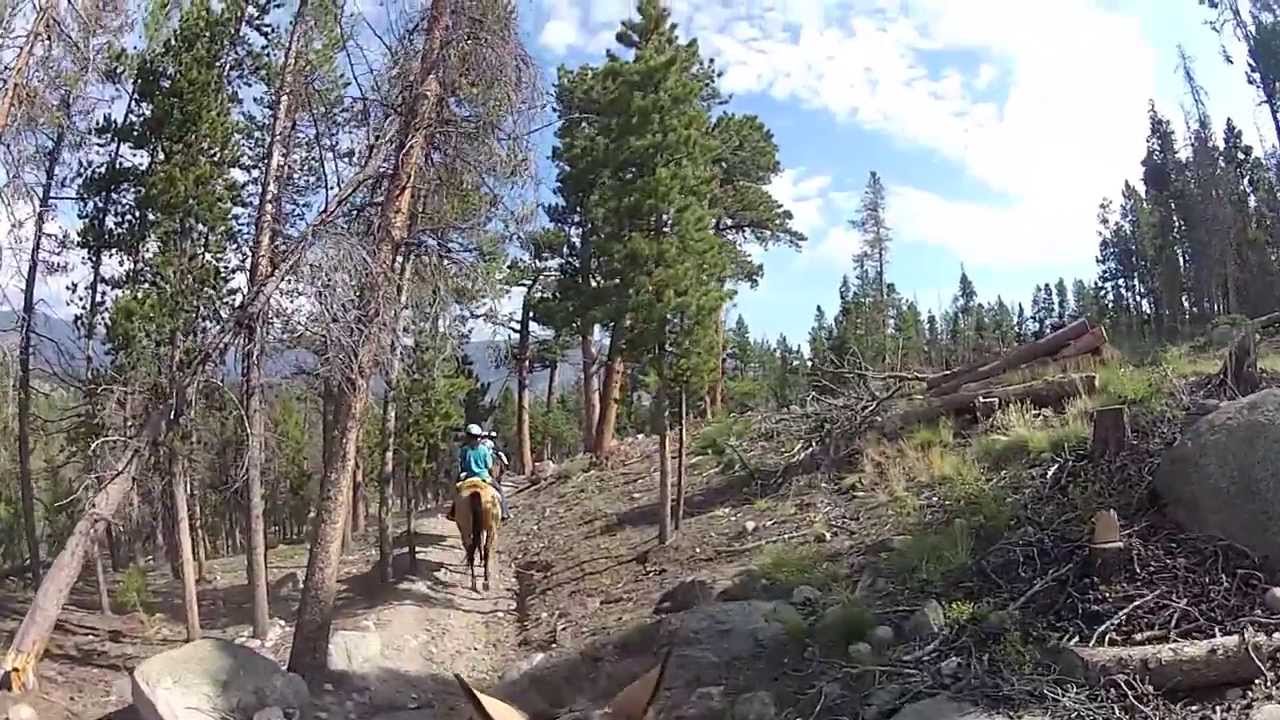 Colorado 2013 - RMNP Horseback Riding