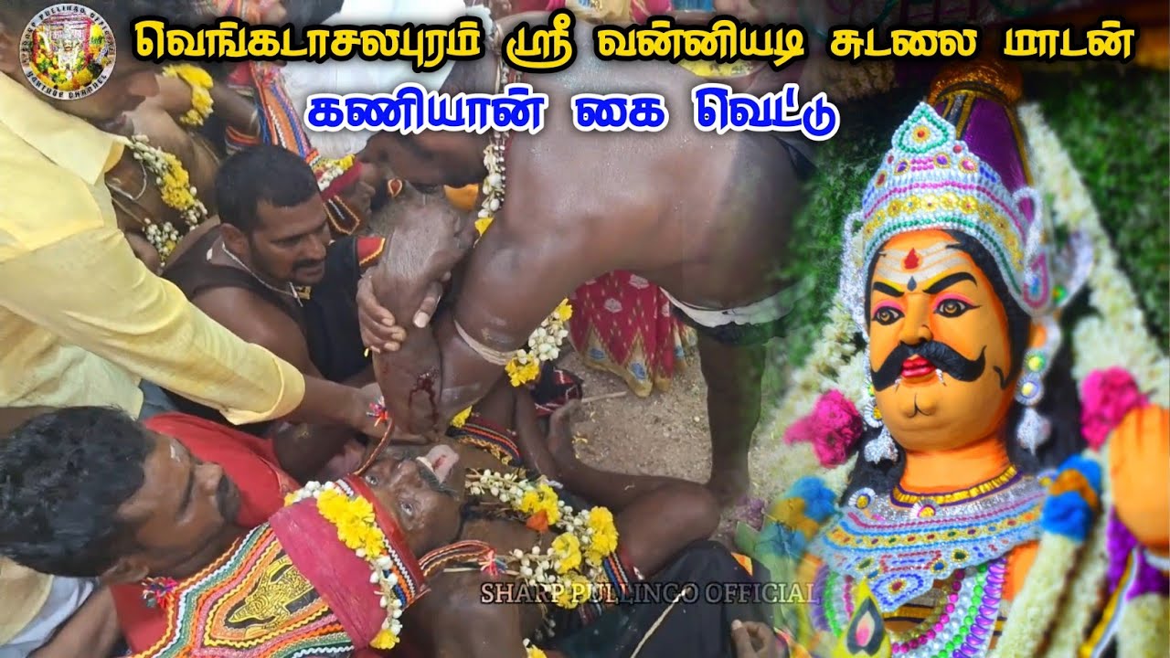 கணியான் கை வெட்டு, & நாக்கு வெட்டு #thangaraj நெல்லை புகழ் thangaraj ஸ்ரீ வன்னியடி சுடலை மாடன் 🔥