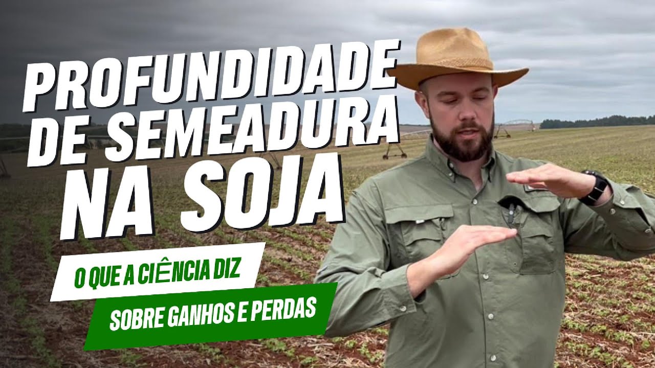 Profundidade de Semeadura na Soja: O que a Ciência Diz sobre Ganhos e Perdas