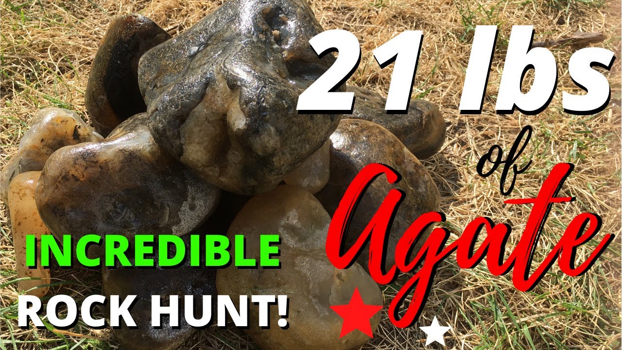 BEST ROCK HUNT YET - 21 POUNDS of Montana Agate!