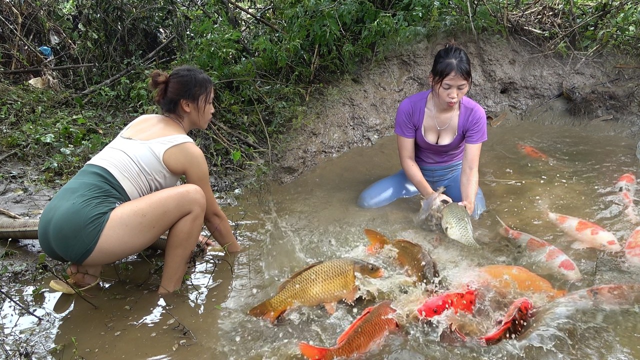 Full Video: How To Fishing In A Small Stream, Fishing In Puddles Of River Water, Catch a Lot Of Fish