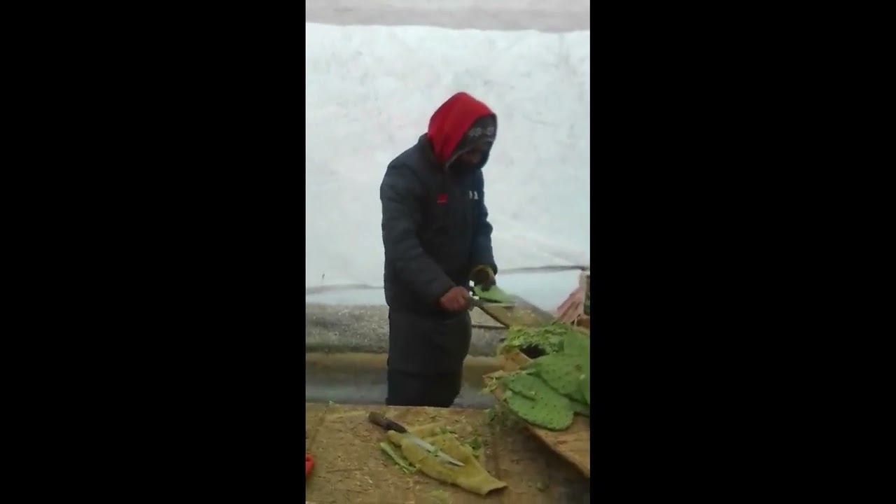 PEPE SE ENCUENTRA AL SEÑOR DE LOS NOPALES