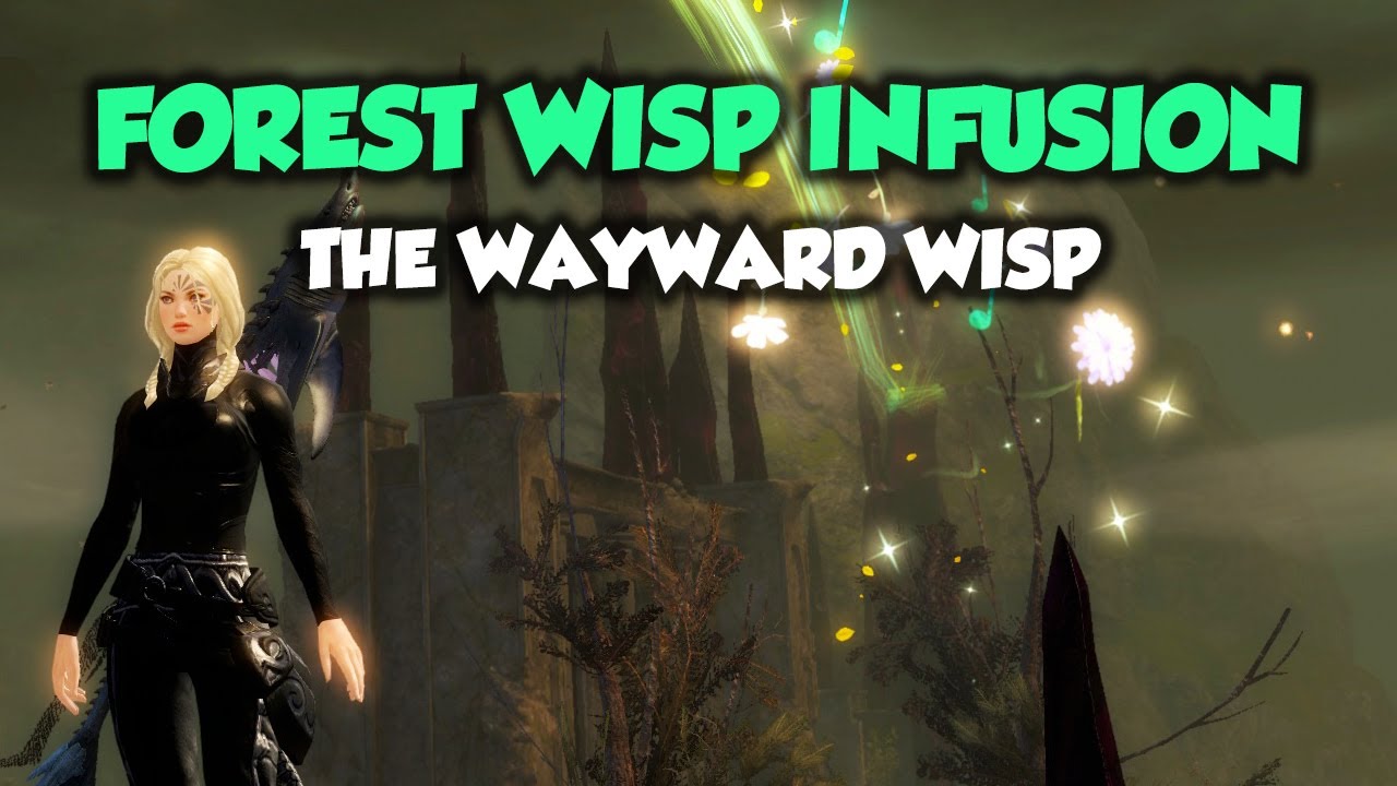 Guild Wars 2 FOREST WISP INFUSION (Отчет о хранилище Wayward Wisp)