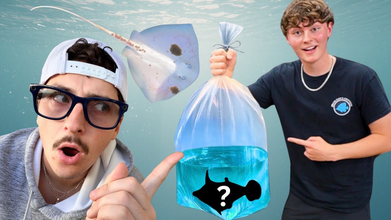 I Surprised My Friend with SEA CREATURES For His SALTWATER POND!!