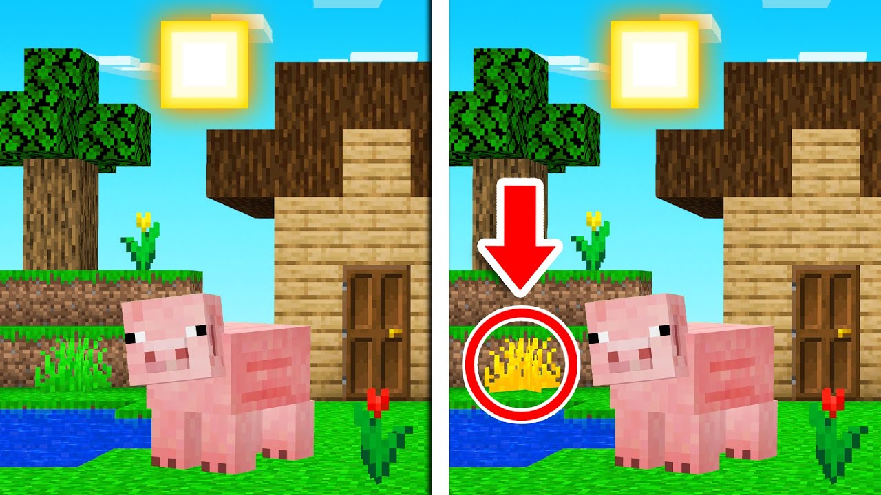 2% Of People Can SPOT THE DIFFERENCE (Minecraft)