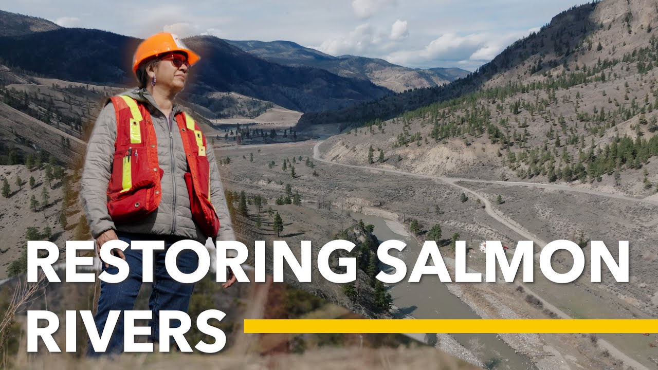 Restoring Salmon Habitat: River Restoration in Merritt, BC