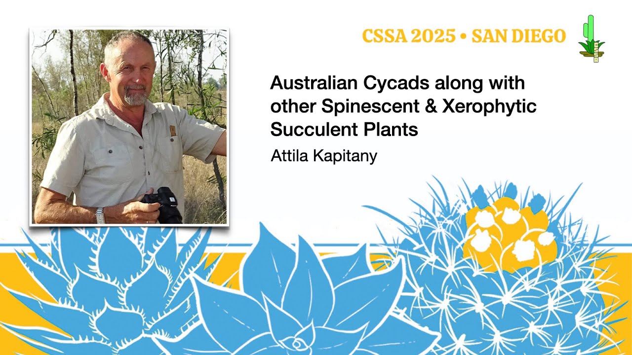 Australian Cycads along with other Spinescent & Xerophytic Succulent Plants – Attila Kapitany
