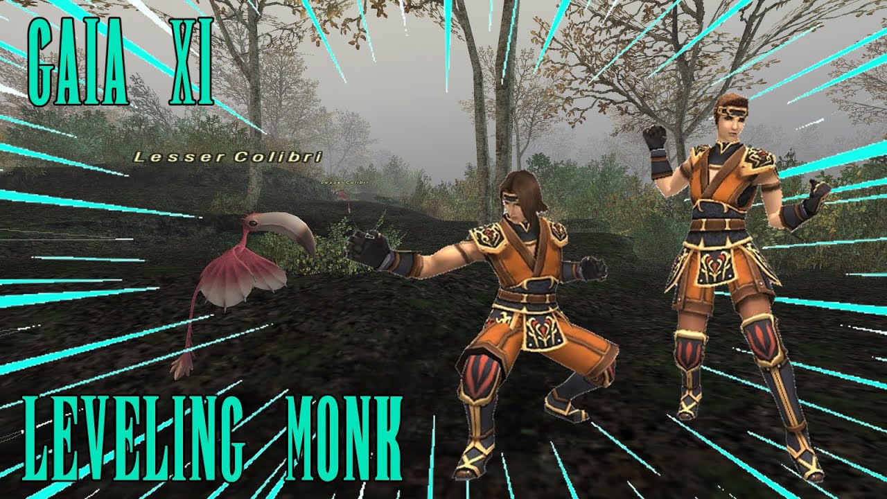 FFXI: GaiaXI - How do I Play MNK!?
