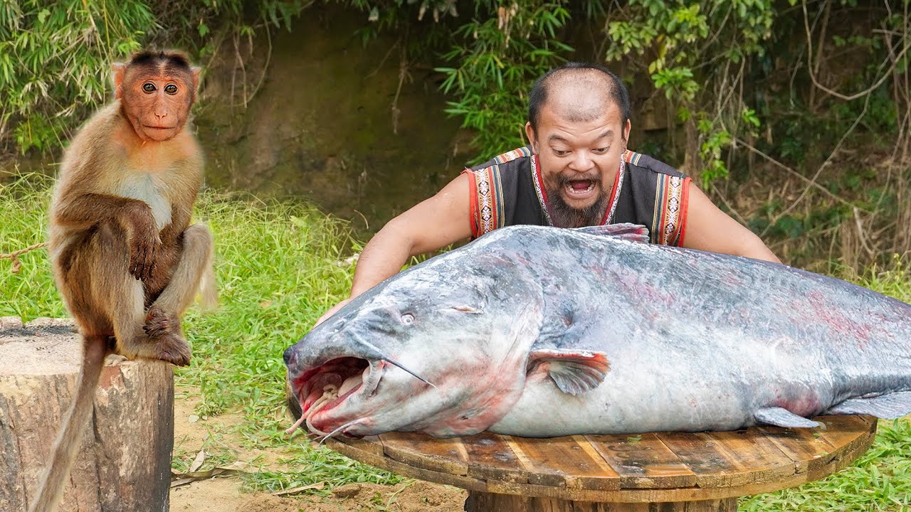 Cooking with Monkey - Cooking Giant Catfish Over High Heat - Cooking Catfish Using an Unusual Recipe