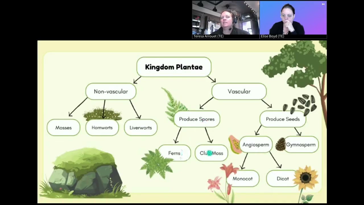 plant taxonomy