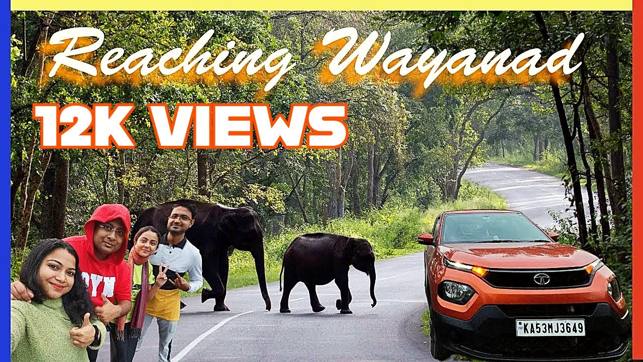 Bangalore to Wayanad Road Trip | Bandipur Tiger Reserve | Tata Punch Adventure