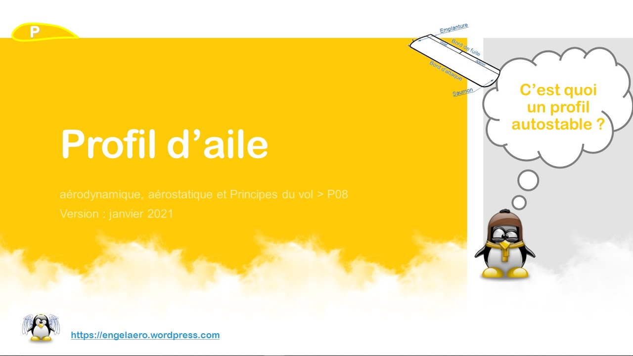 🛫Profil de l'aile (BIA, Principes du vol🎈08)