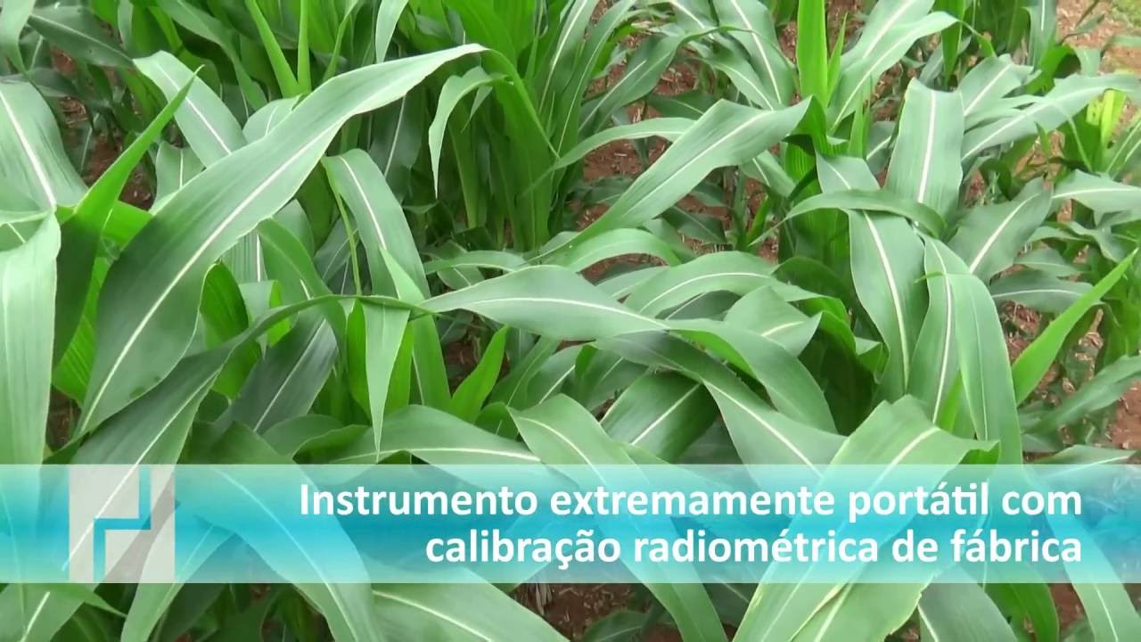 Espectroradiômetro portátil SpectraPen LM 500