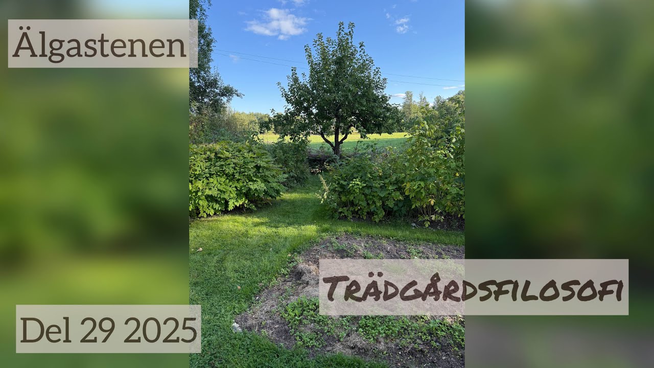 Trädgårdsfilosofi