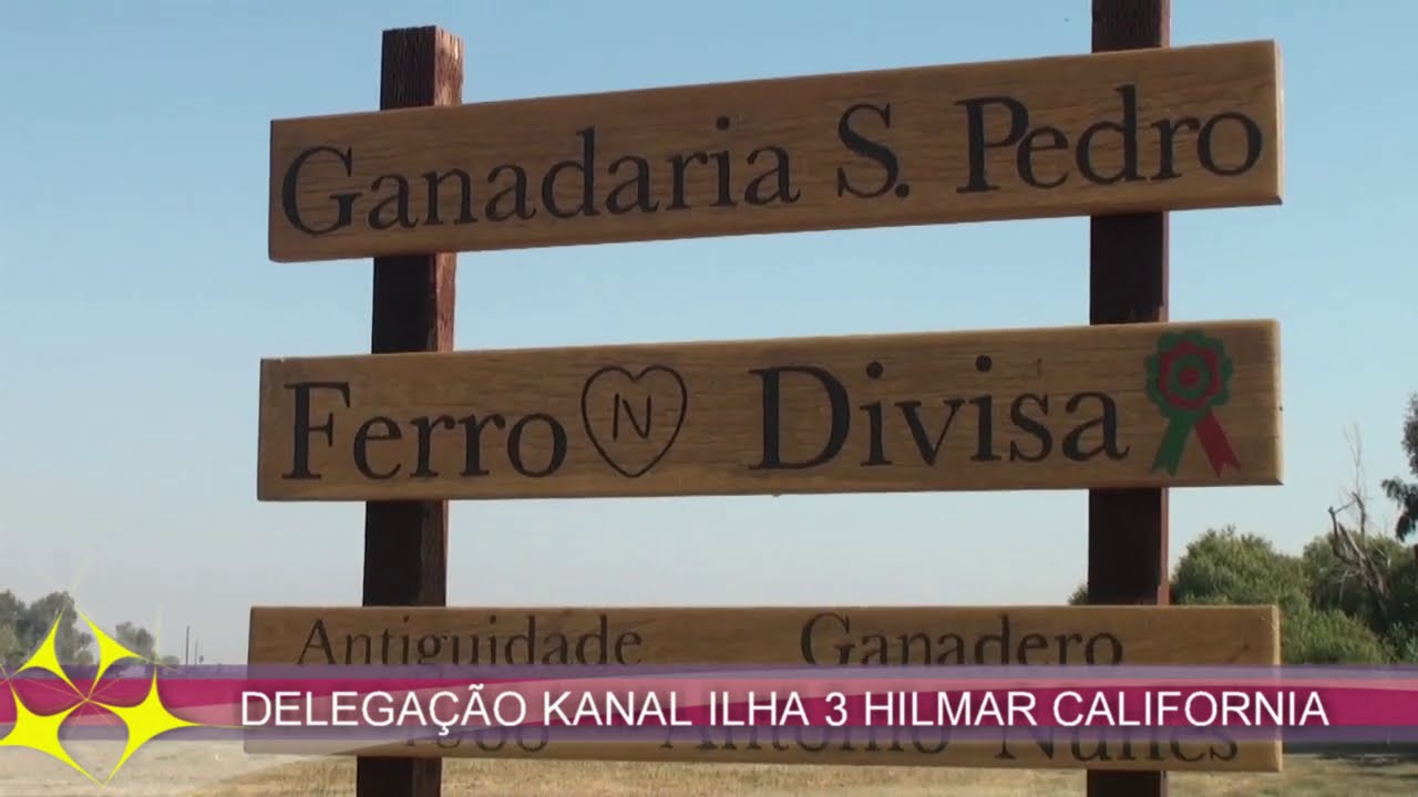 LEITARIA E GADO BRAVO ANTONIO NUNES NATURAL ILHA TERCEIRA