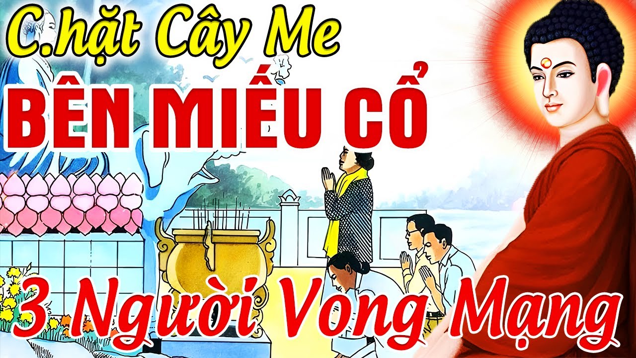 Chuyện Tâm Linh 100% Có Thật, Chặt CÂY ME Bên MIẾU CỔ Khiến 3 Người VONG MẠNG.. | 10 Chuyện Nhân Quả