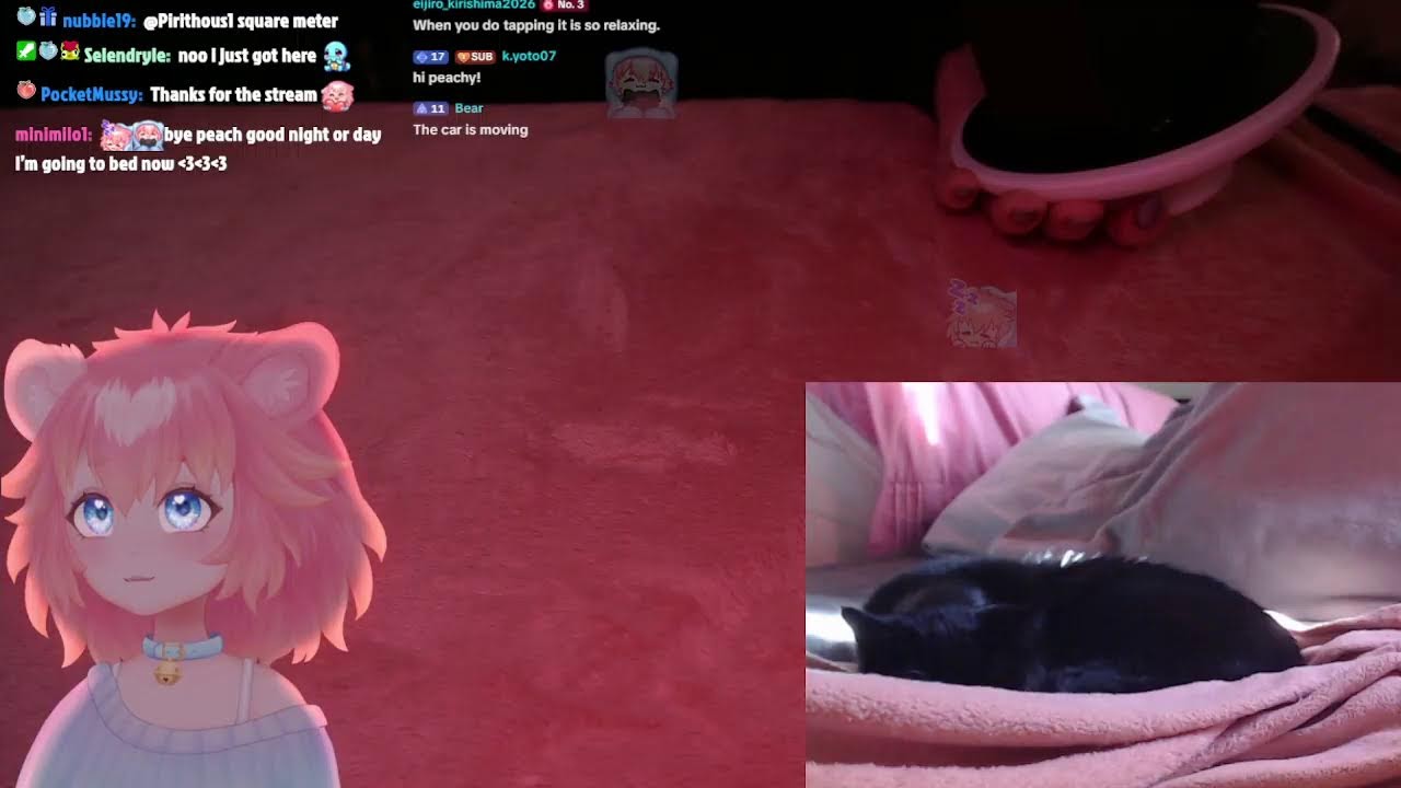 vtuber gentle ASMR 💤 live
