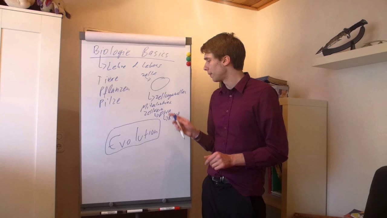 Biologie - Basics (Grundwissen)