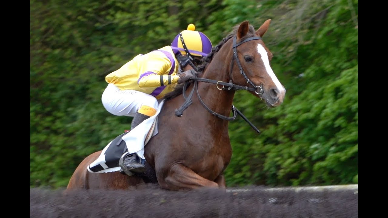 70EME GALA DES COURSES - TURFCOM - LES JEUNES ET LES PONEYS