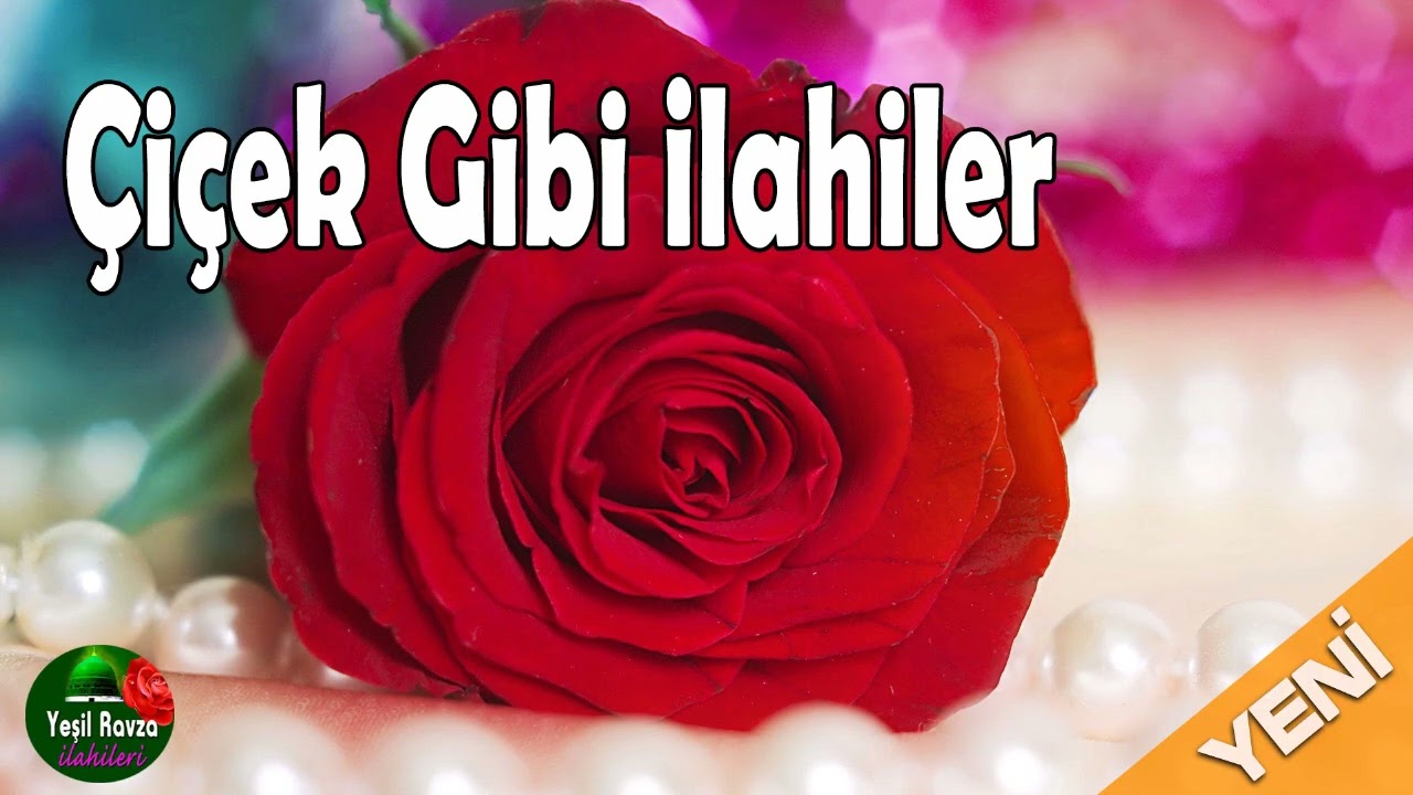Çiçek Gibi İlahiler 💖 Karışık Harika İlahiler 💖 Yeşil Ravza İlahileri