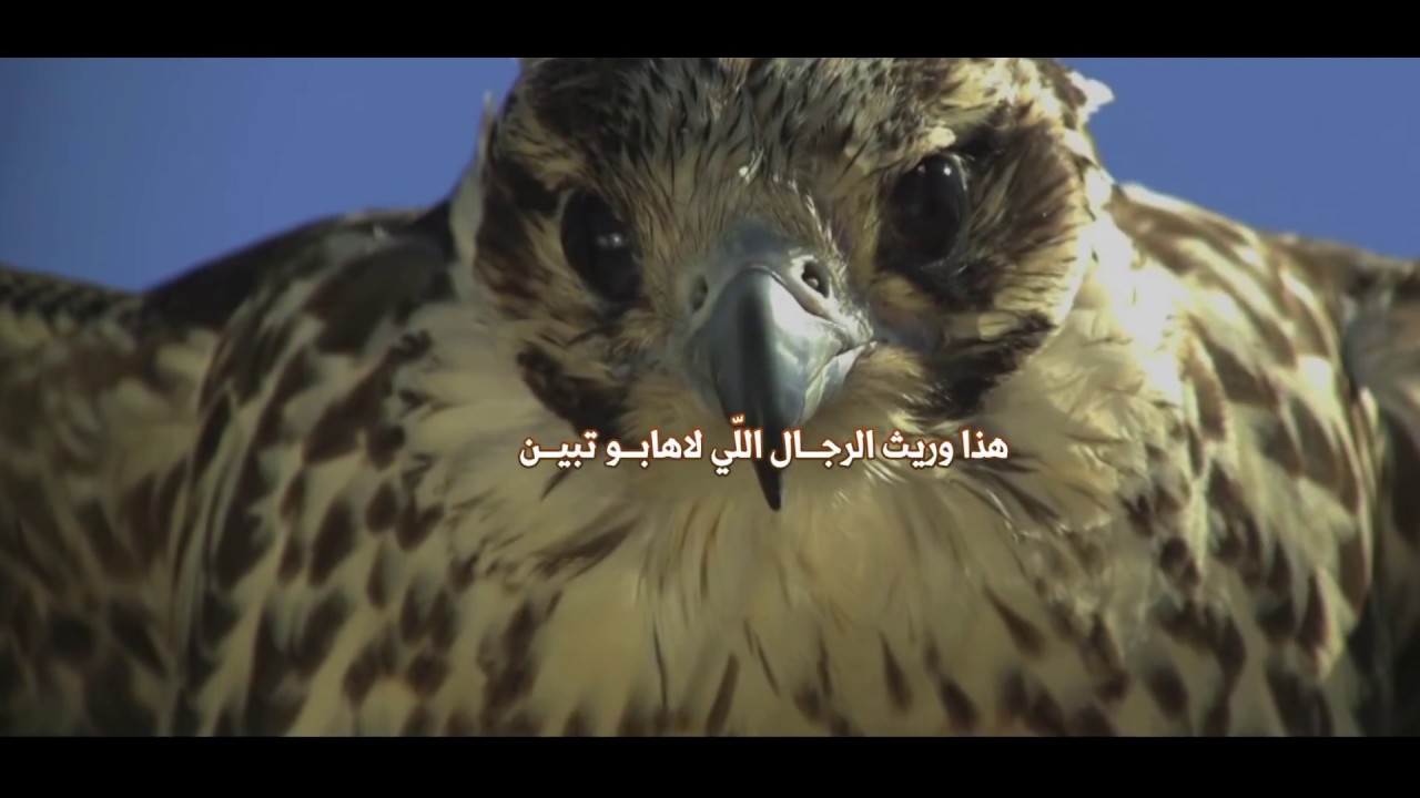 إهداء للشيخ عايض بن ظبيه وأبناؤه ll كلمات : عبدالله بن مرهب ll أداء : العذب