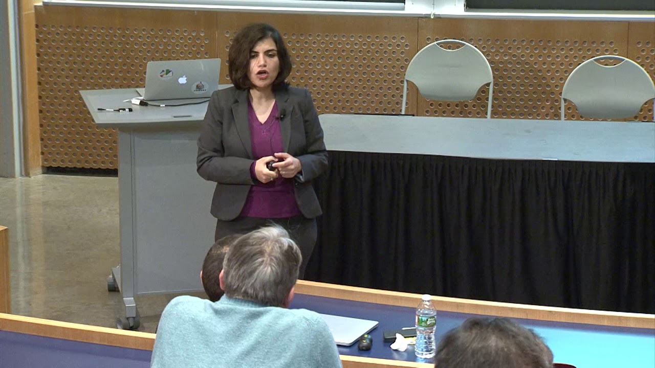 ORC IAP Seminar 2019 - Negin Golrezaei