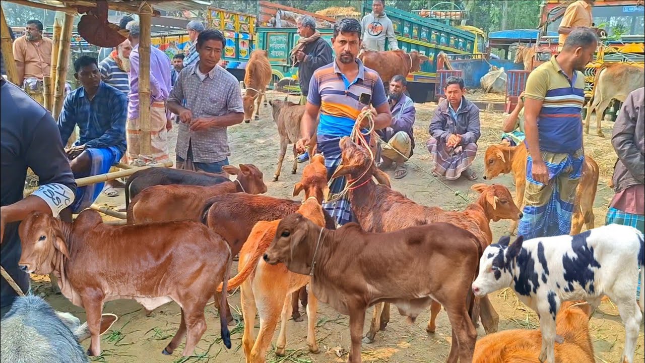 @আজ ১০ ফেব্রুয়ারী