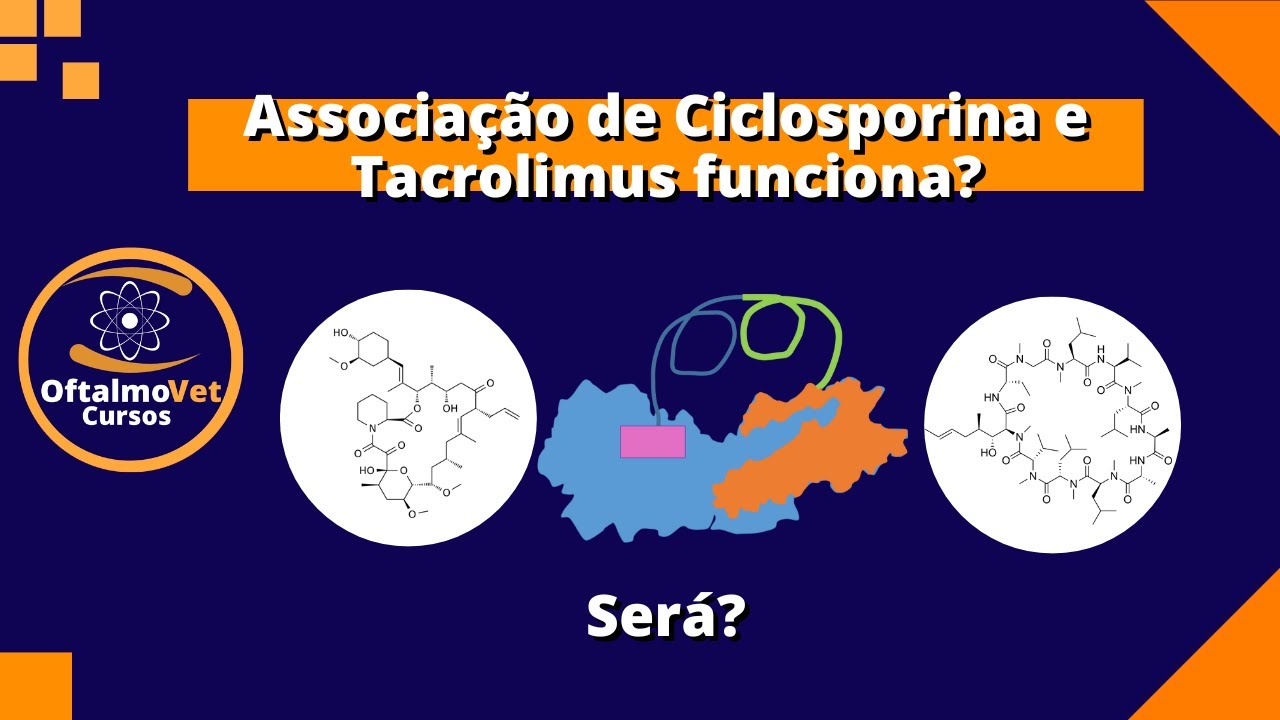 Associar ciclosporina ao tacrolimus não funciona para tratar a síndrome do olho seco em cães