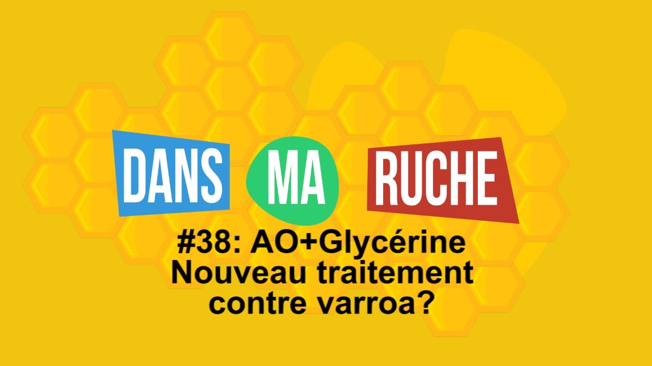 #38-Acide Oxalique et glycérine, nouveau traitement contre varroa?