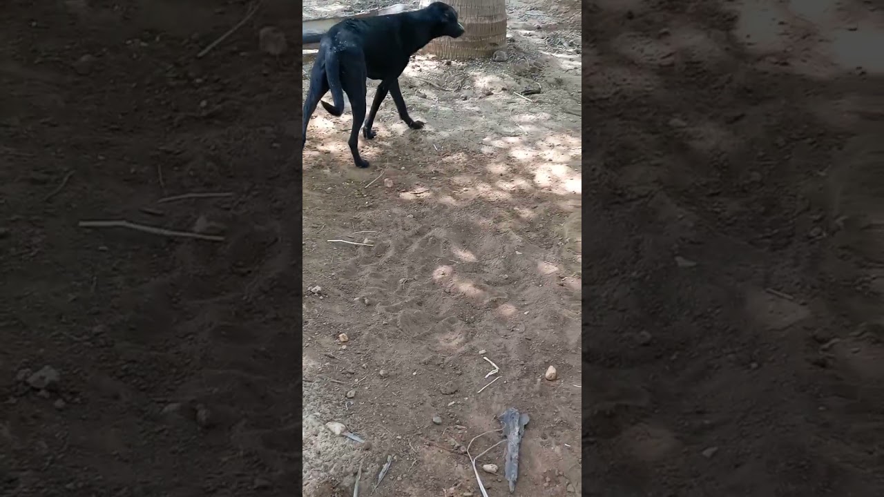 Ни за что.