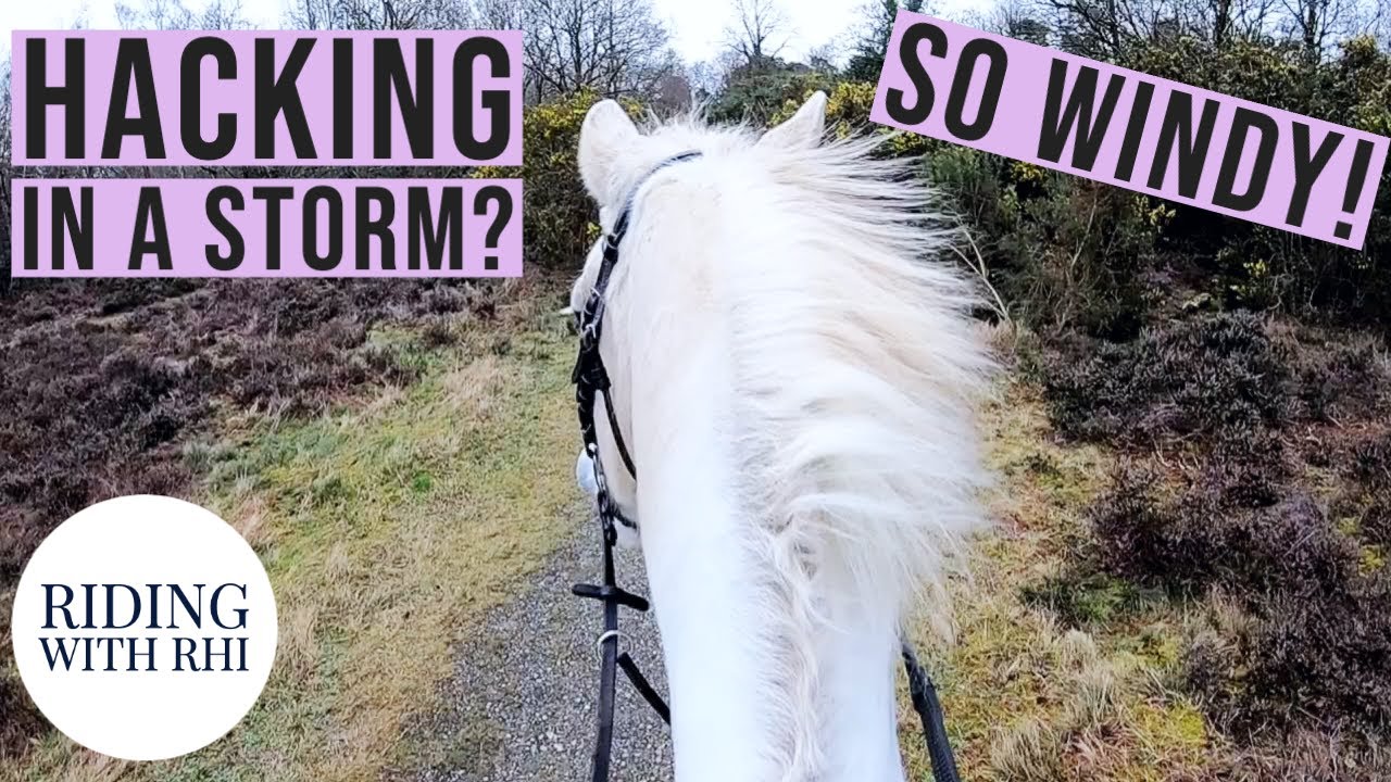 HORSE RIDING IN STORM DENNIS | Hack Out With Me | GoPro | UK Equestrian YouTuber