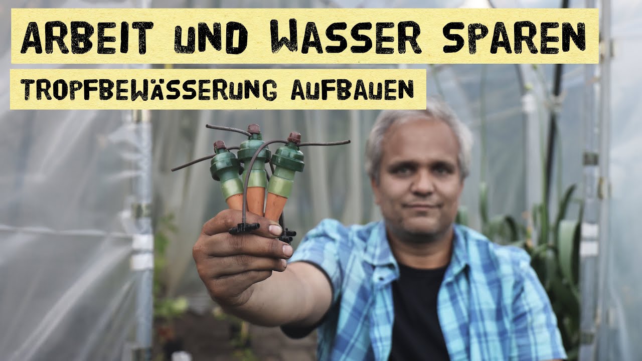 Diese Bewässerung funktioniert so einfach und genial. Aufbau und Funktion der Blumat Bewässerung