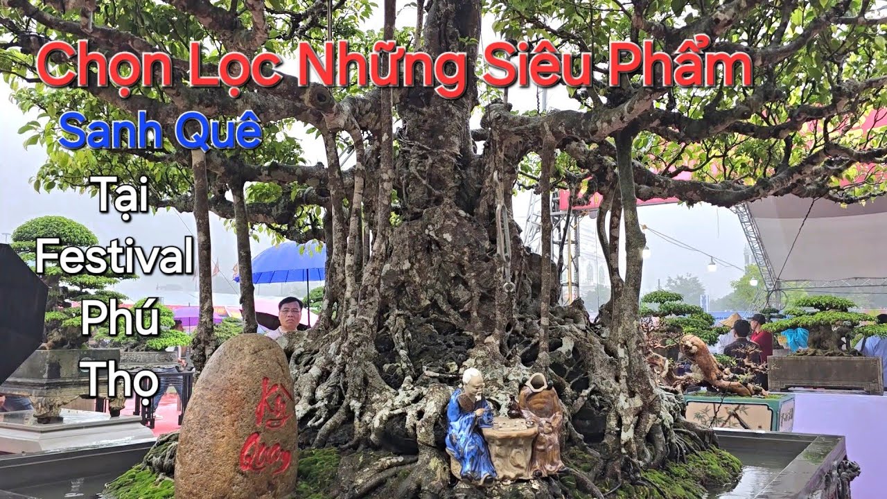 Đẳng Cấp Sanh Quê ! CHỌN LỌC những SIÊU PHẨM sanh quê QUÝ HIẾM tại FESTIVAL Phú Thọ 2025 .