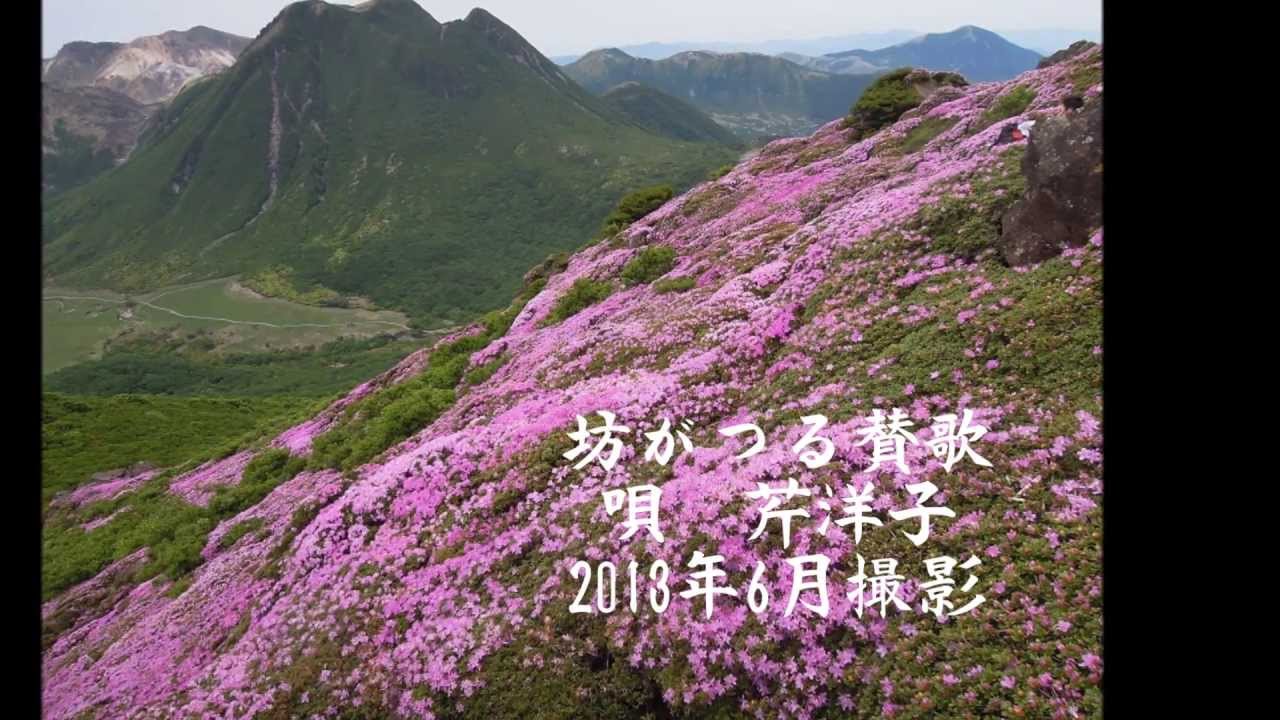 くじゅう平治岳のミヤマキリシマ　「坊がつる賛歌」にのせて