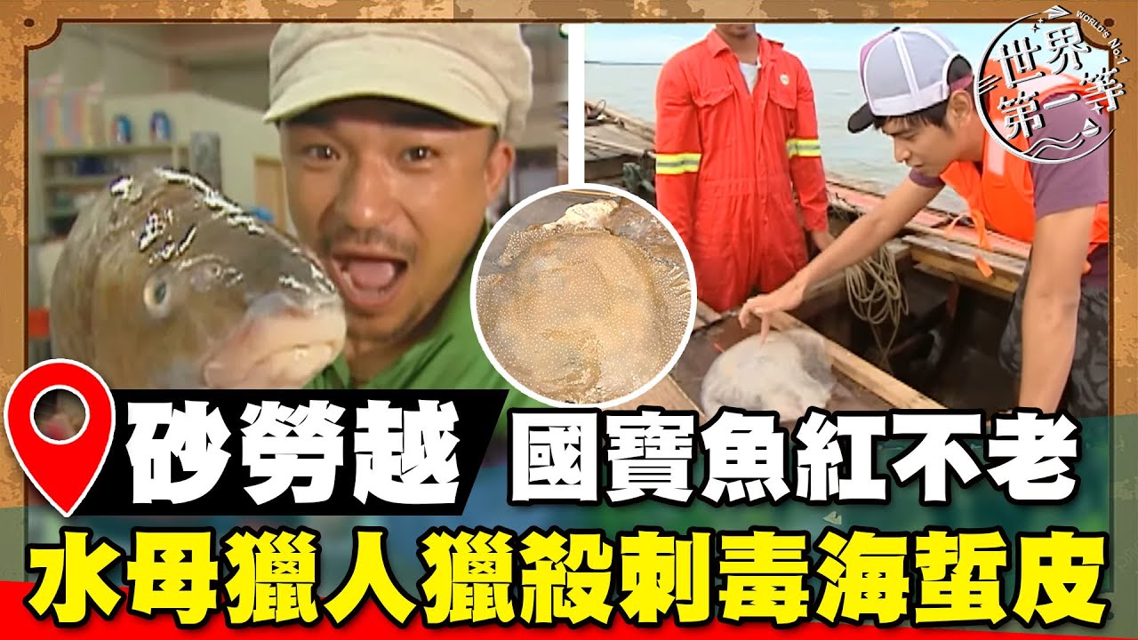 【世界大尋奇】砂勞越河魚之皇 
