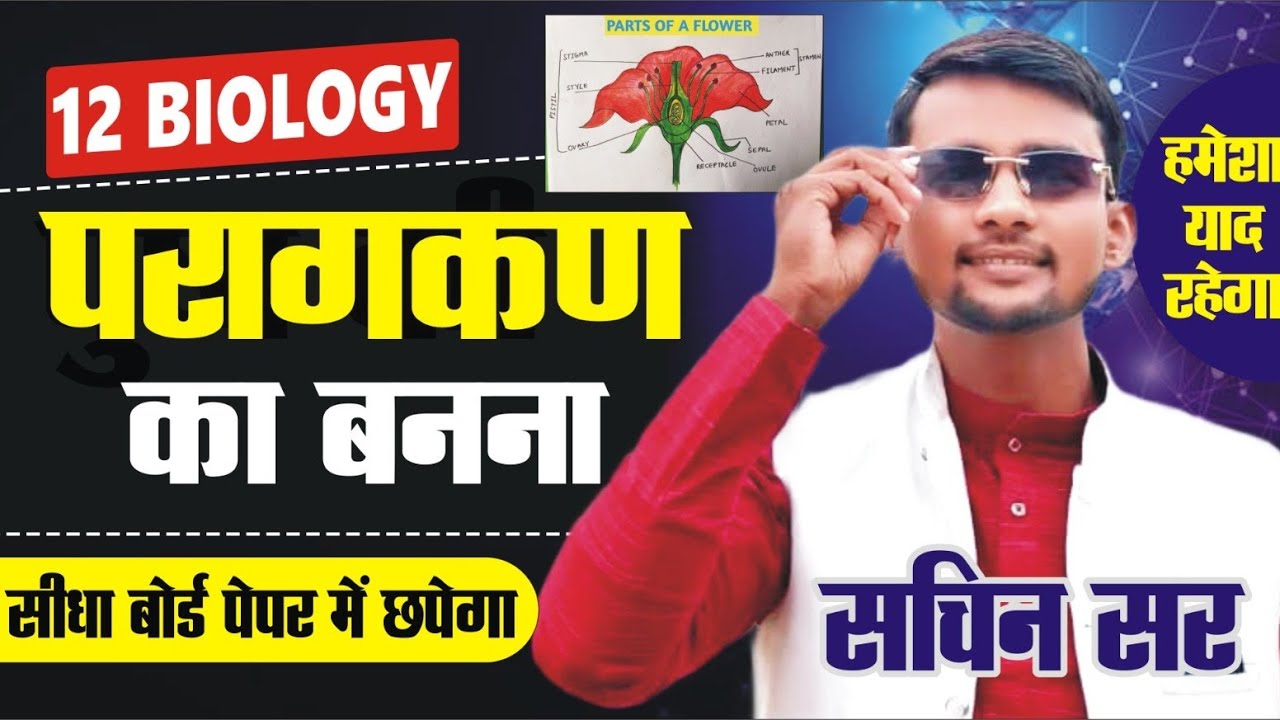 Microsporogenesis || लघुबीजाणुजनन || परागकण का बनना | Paragkan ka banna || Class 12 | By Sachin Sir