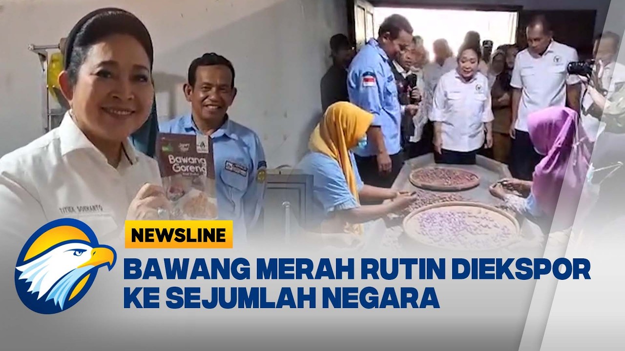 Dorong Hilirisasi, Komisi IV DPR Tinjau Sentra Bawang Merah Brebes | Newsline Bisnis