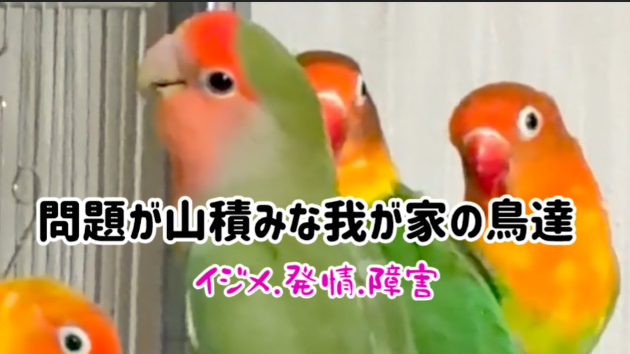 問題が山積みな我が家
