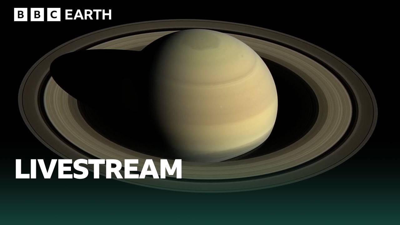 LIVE 🔴 Saturn: The Solar System&rsquo;s Greatest Jewel | BBC Earth Science