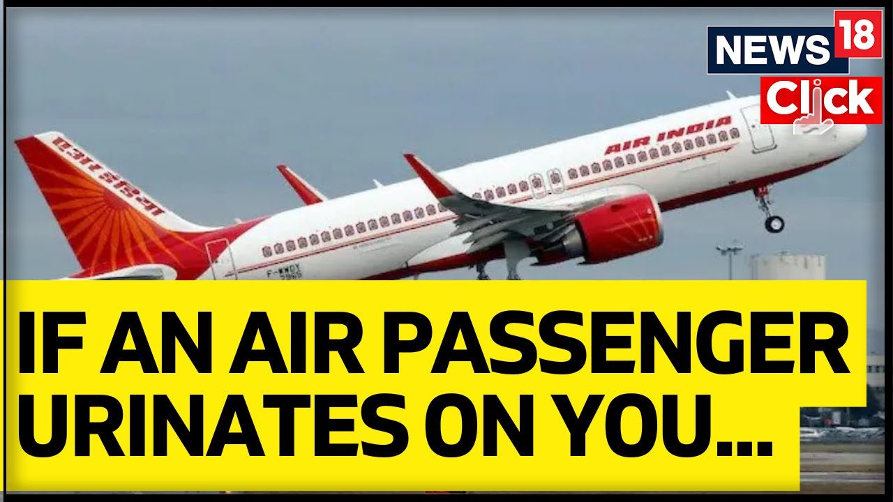 Air India Horror | Air India Peeing Incident | Horrors Of Flying Unruly Passengers | English News